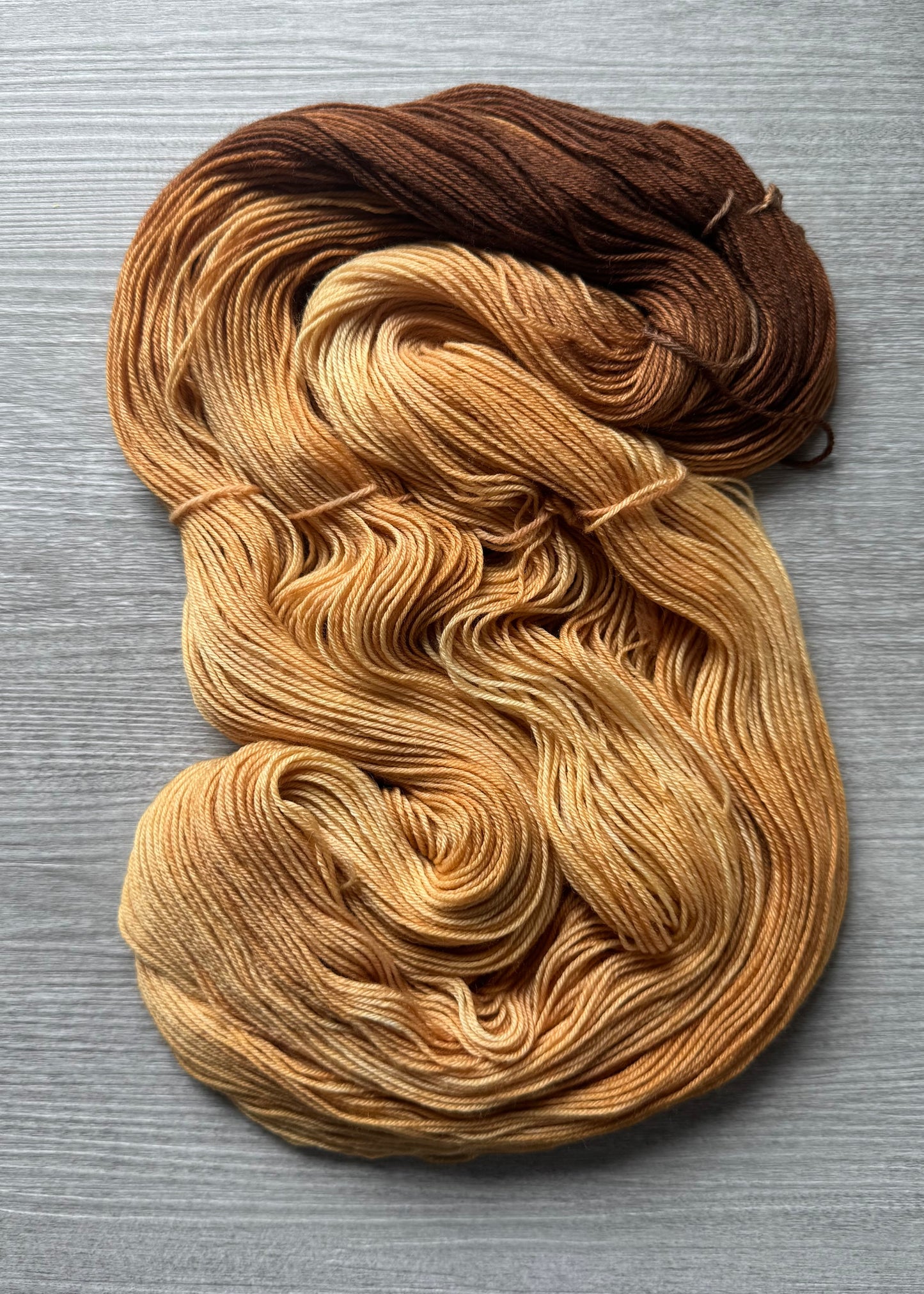 Lion's Mane Event Artisan Dyed Assigned Pooling Yarn