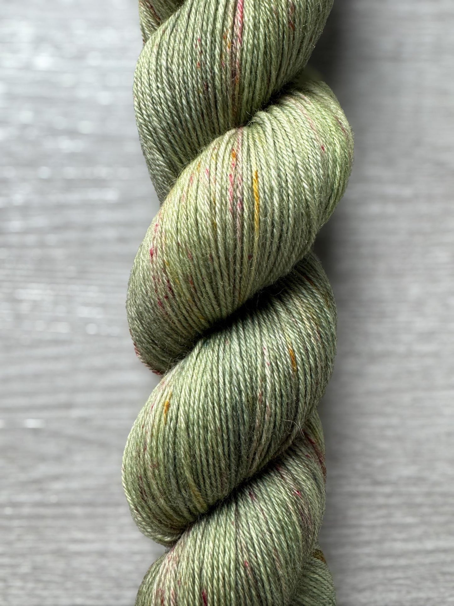 Supersized Painted Turtle Artisan Yarn Hand Dyed Merino Wool