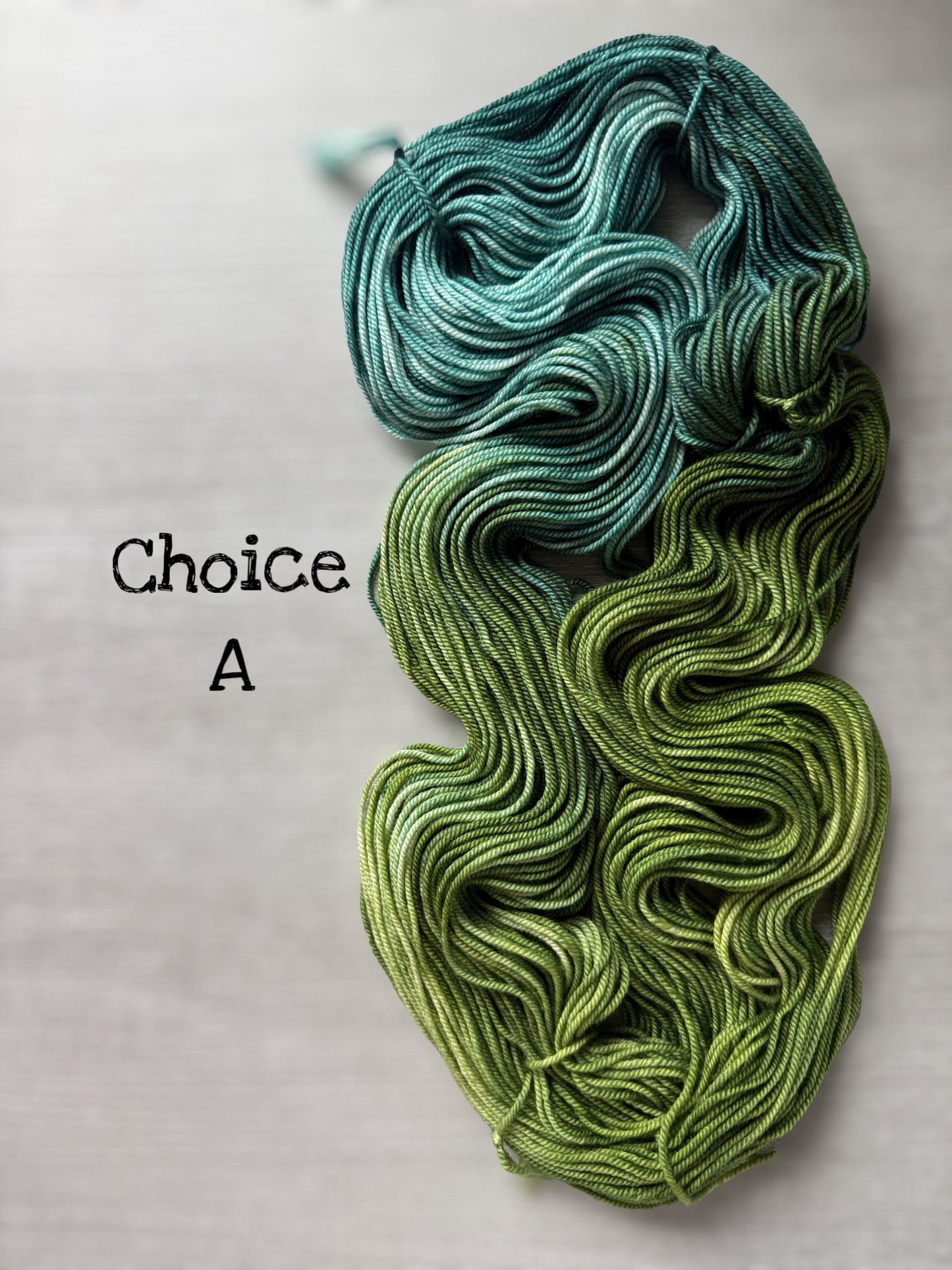 Hug A Tree Hand Dyed Merino Yarn - Ready To Ship