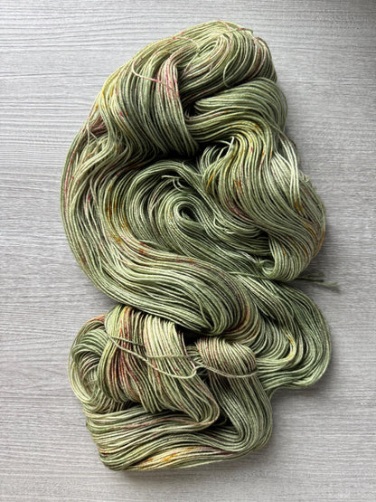 Supersized Painted Turtle Artisan Yarn Hand Dyed Merino Wool