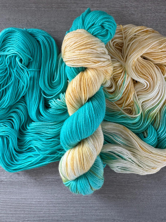 Macaw In The Amazon Basin Artisan Hand Dyed Merino Wool Yarn
