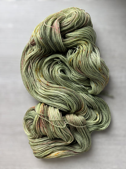Painted Turtle Artisan Yarn Hand Dyed Merino Wool