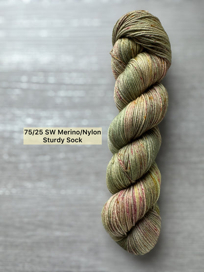 Painted Turtle Artisan Yarn Hand Dyed Merino Wool