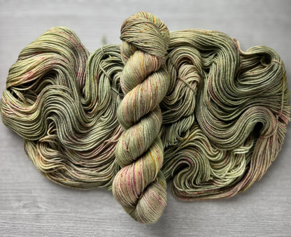 Painted Turtle Artisan Yarn Hand Dyed Merino Wool