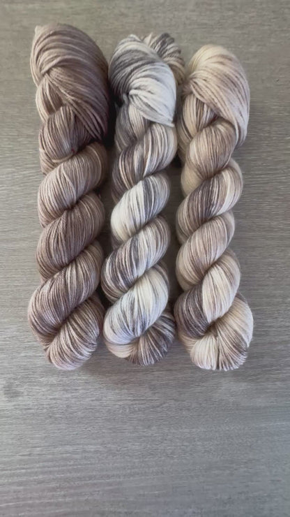 Mad House Mouse Hand Dyed Yarn Mini Skein Set