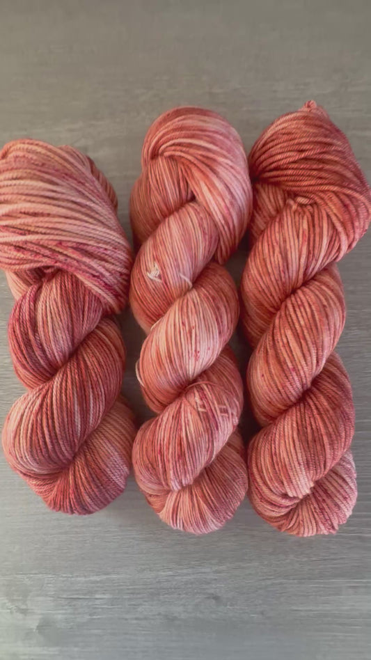 Sun Bleached Brick Artisan Hand Dyed Merino Wool Yarn