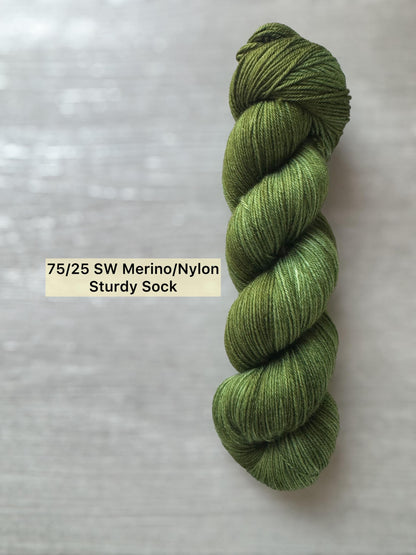 Rainforest Fern Artisan Hand Dyed Merino Wool Yarn