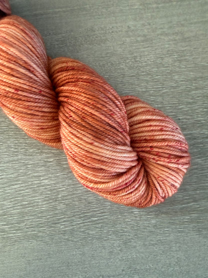 Sun Bleached Brick Artisan Hand Dyed Merino Wool Yarn