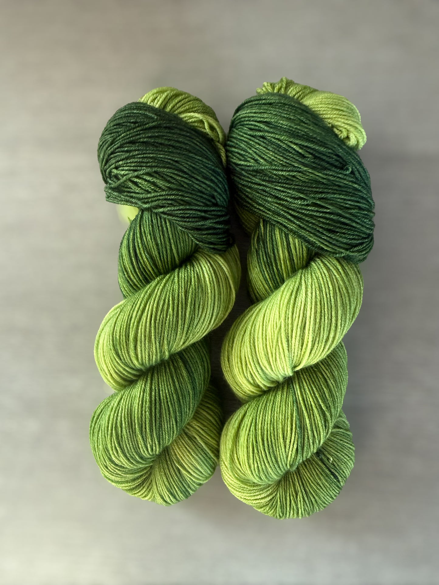 The Real Dill Artisan Dyed Merino Wool Yarn